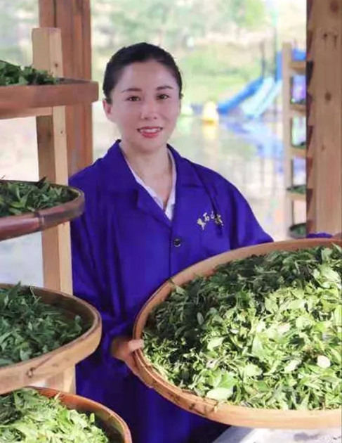 【梧州工匠】石濡菲：擇一茶，修一技，終一生