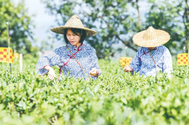 國(guó)家批復(fù)同意，梧州籌建！