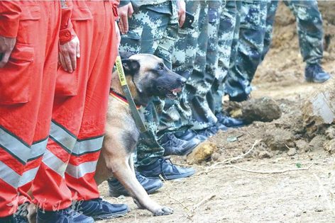 消防、武警、摩托車運輸隊等多方力量聯(lián)合搜救｜東航客機墜毀事故救援現(xiàn)場直擊