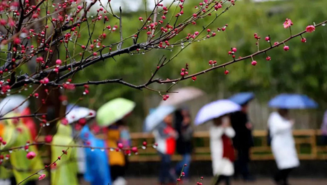 今日雨水！別忘了咱的老講究！