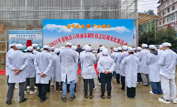2025年蒼梧縣六堡油茶制作技藝培訓及比賽活動圓滿落幕！
