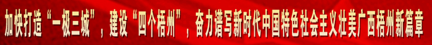 加快打造“一級(jí)三城市”，建設(shè)“四個(gè)梧州”，奮力譜寫(xiě)新時(shí)代中國(guó)特色社會(huì)主義壯美廣西梧州新篇章